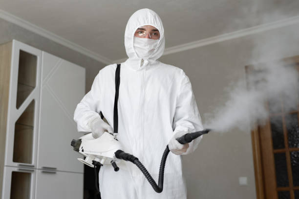 Why You Should Choose Our Mold Remediation Services in Flandreau, SD